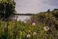 2015_05_11 (0018)